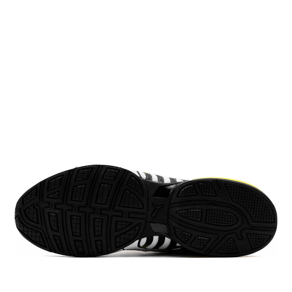 Puma Voltaic Evo Pantofi sport bărbați 379601-42