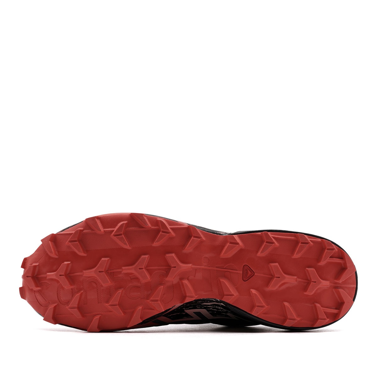 Salomon Speedcross 6 Gore-Tex Pantofi sport bărbați 492260