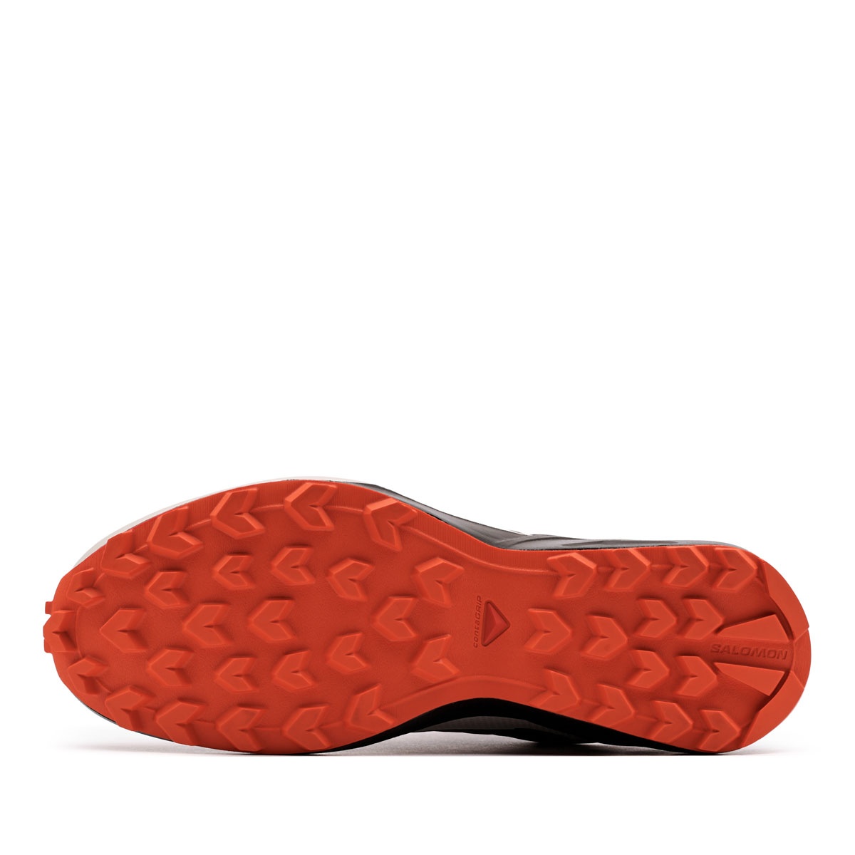 Salomon Speedcross Peak Gore-Tex Pantofi sport bărbați 478528