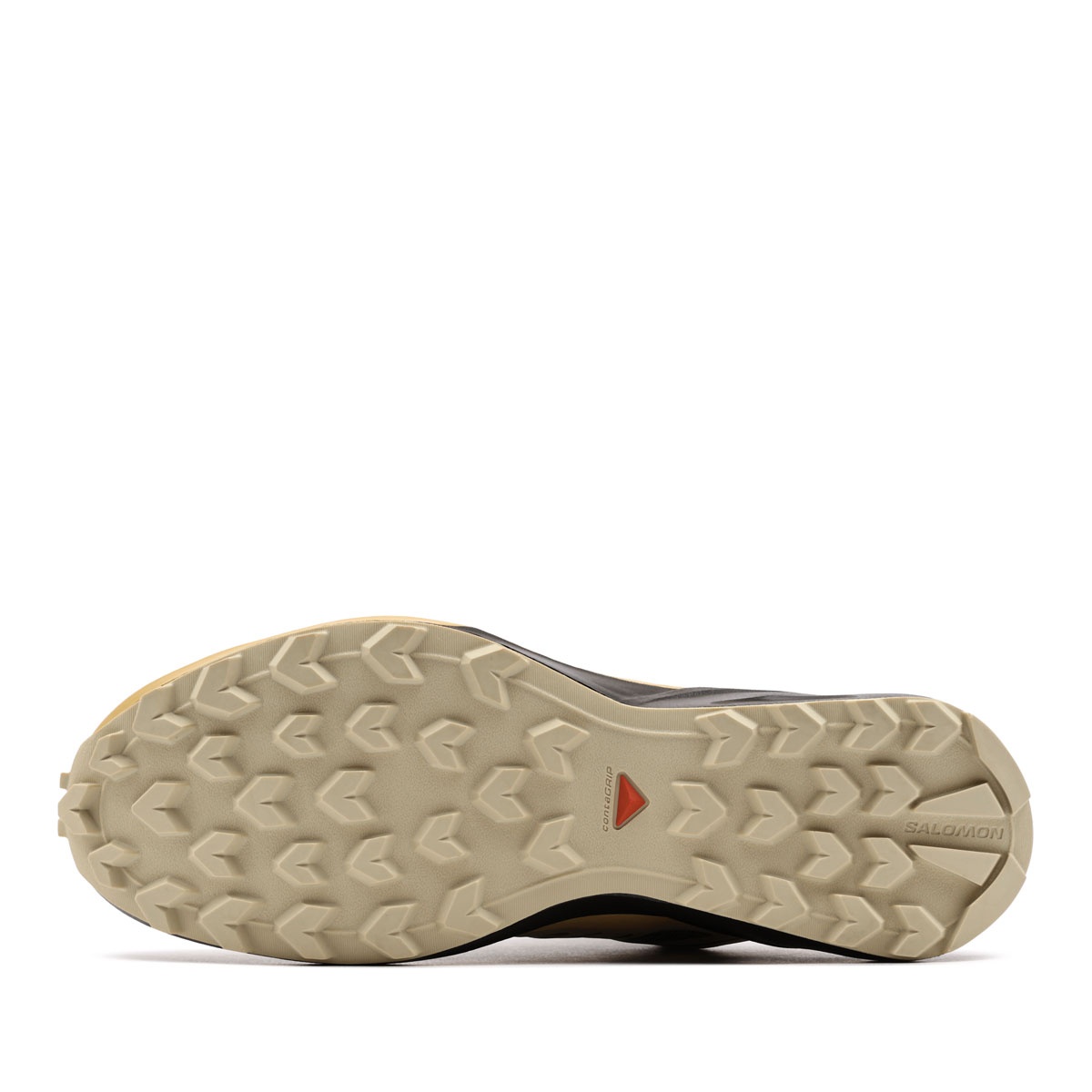 Salomon Speedcross Peak Gore-Tex Pantofi sport bărbați 478531