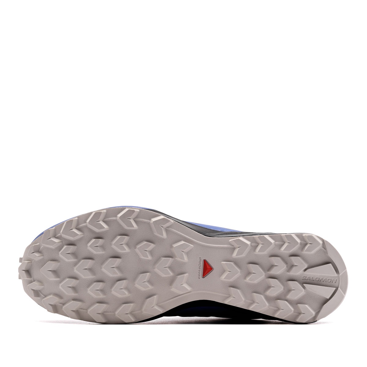 Salomon Speedcross Peak Gore-Tex Pantofi sport bărbați 491708