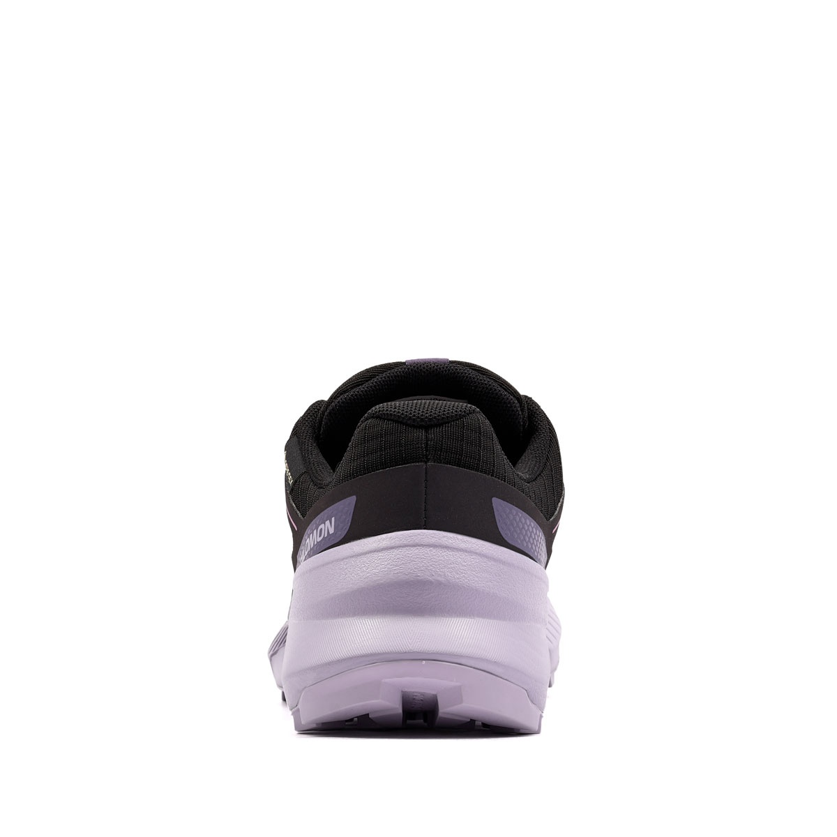 Salomon Speedcross Peak Gore-Tex Pantofi sport damă 492201