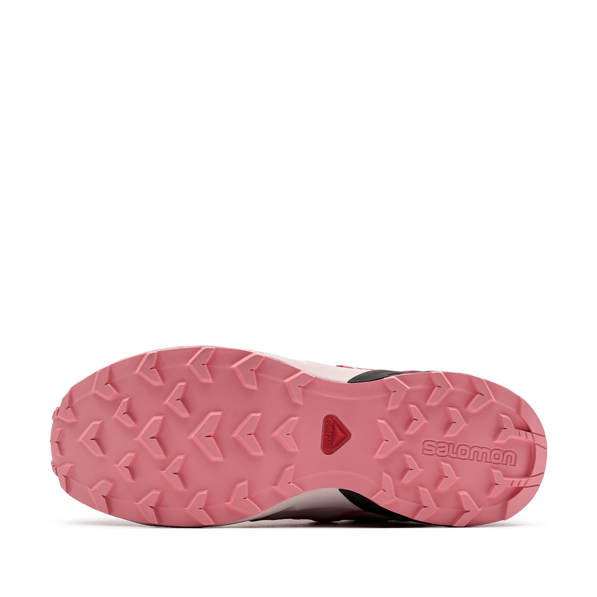 Salomon Speedcross WaterProof Pantofi sport 478566