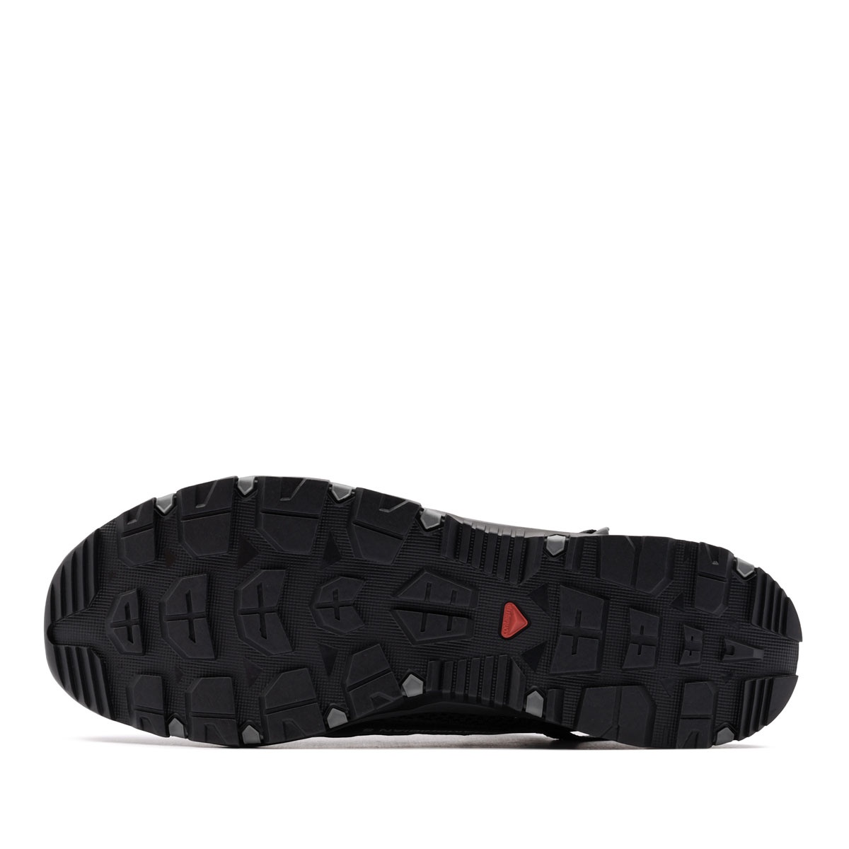 Salomon Techamphibian 5 Pantofi sport bărbați 471151