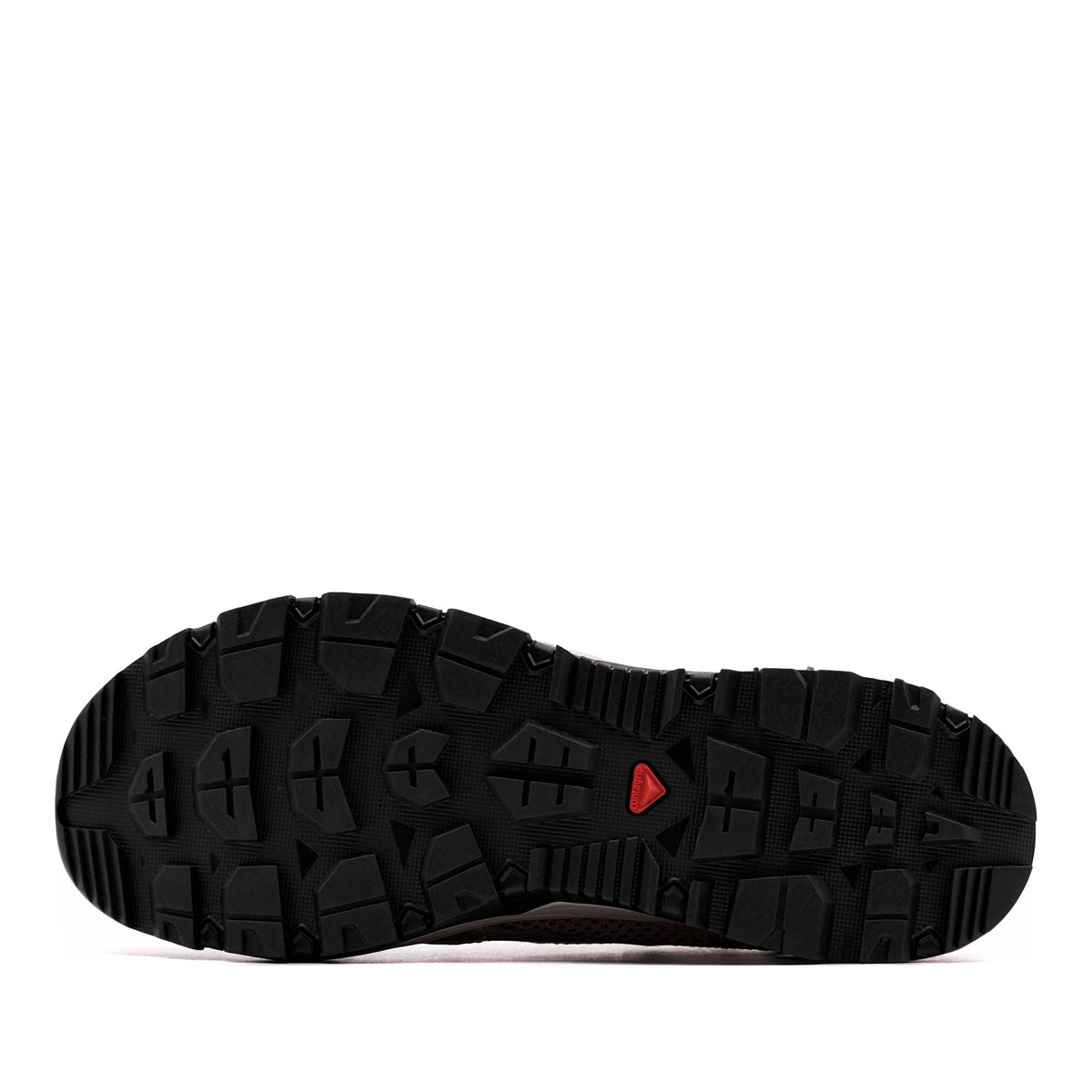 Salomon Techamphibian 5 Pantofi sport bărbați 491042