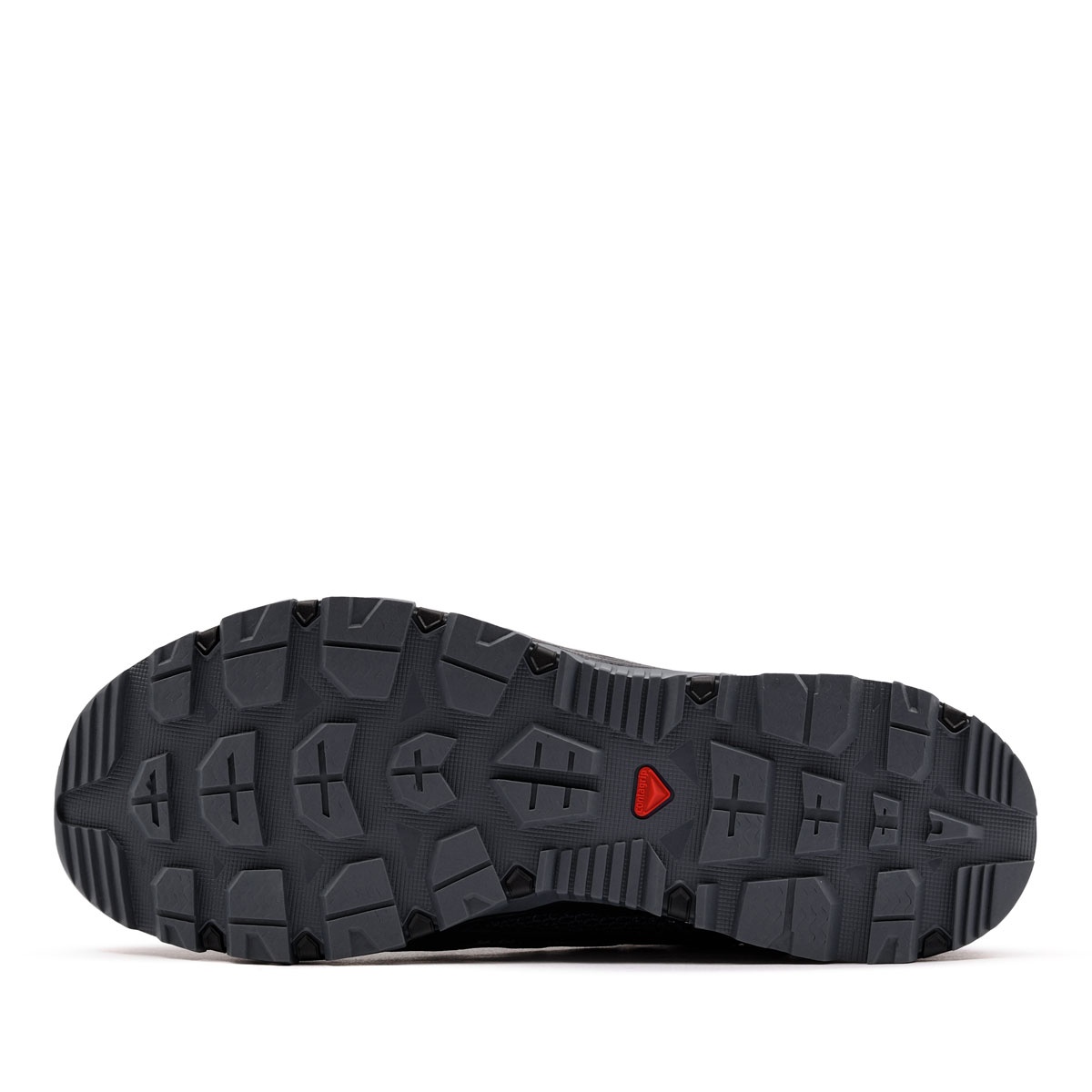 Salomon Techamphibian 5 Pantofi sport bărbați 491424