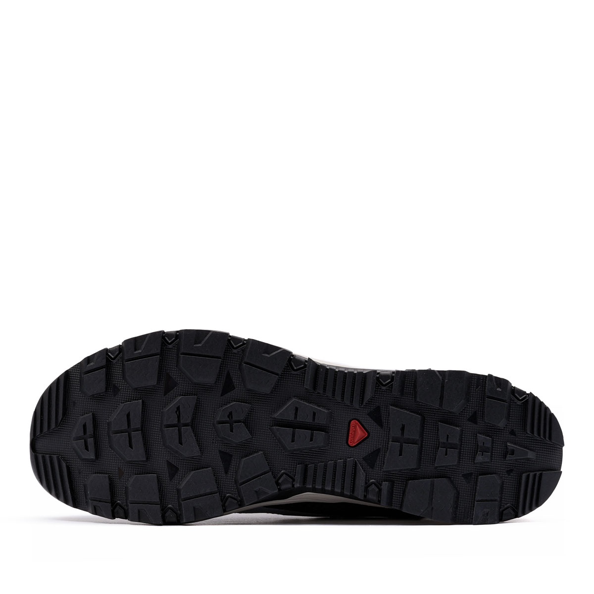 Salomon Techamphibian 5 Pantofi sport bărbați 492277