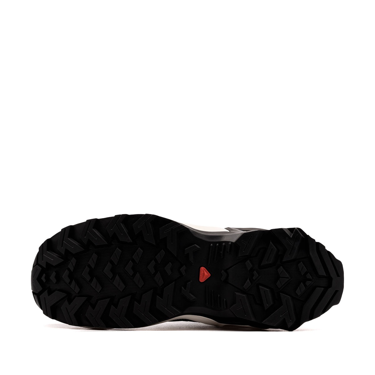 Salomon X Ultra Gore-Tex Pantofi sport 491097