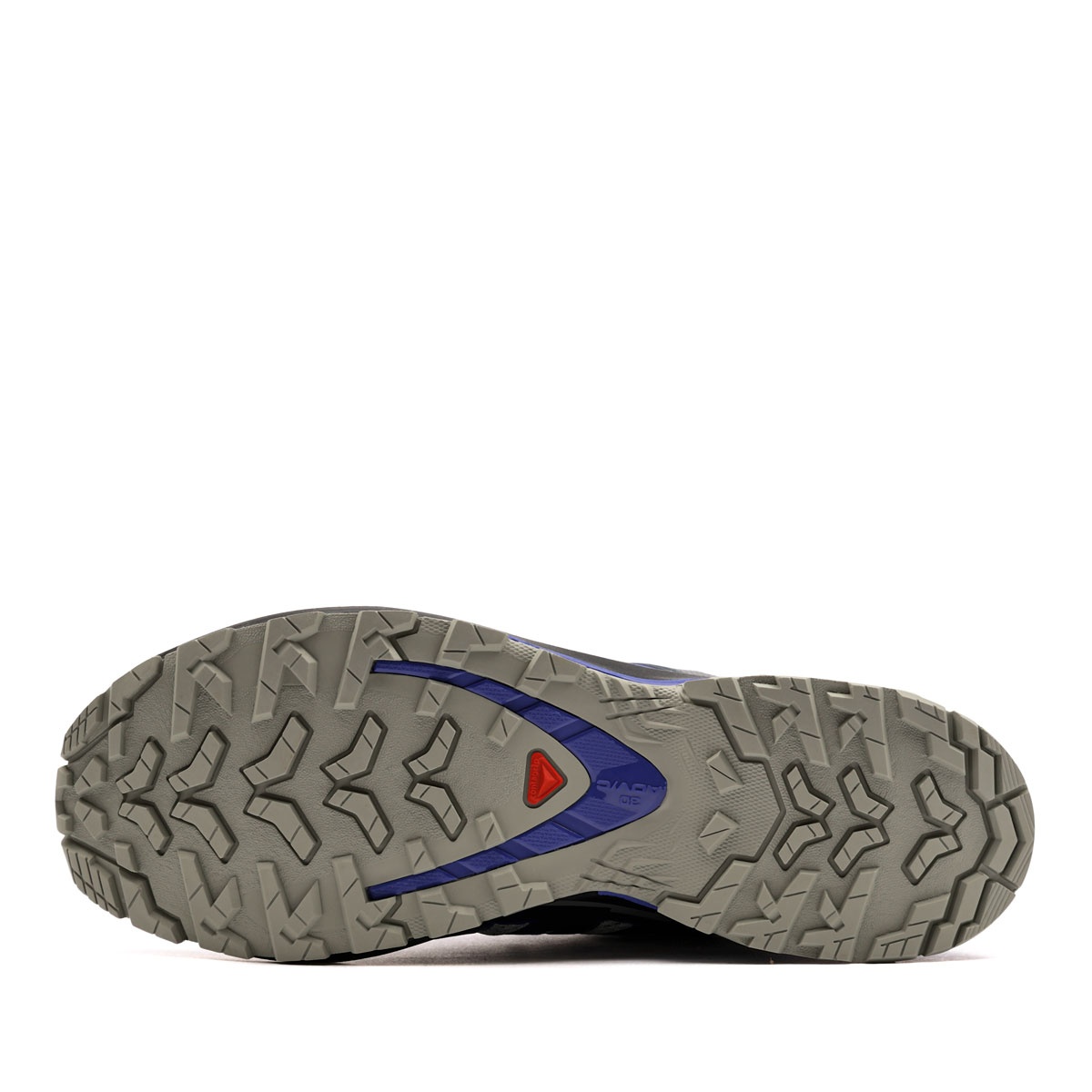 Salomon XA Pro 3D V9 Pantofi sport bărbați 491983