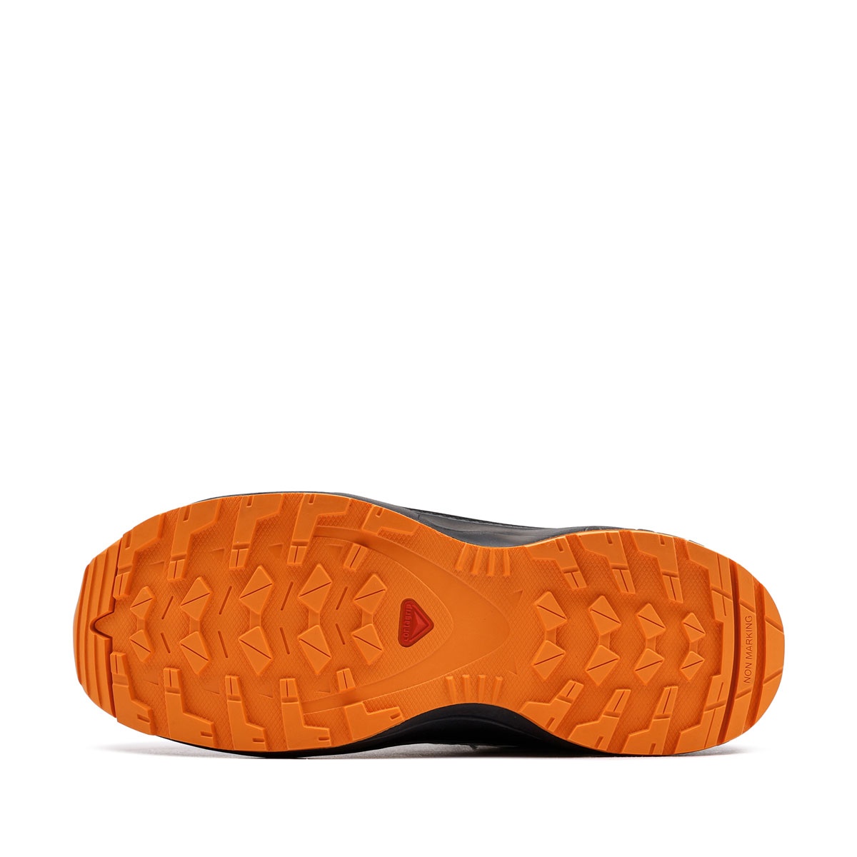 Salomon XA Pro V8 WaterProof Pantofi sport 478570