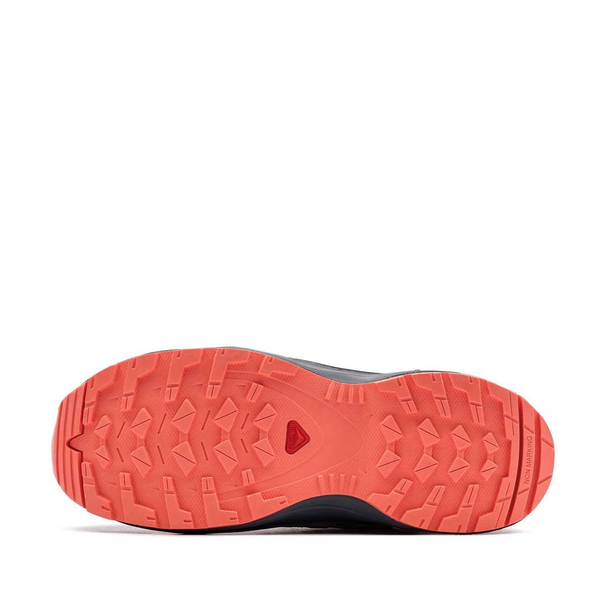 Salomon XA Pro V8 WaterProof Pantofi sport 478571