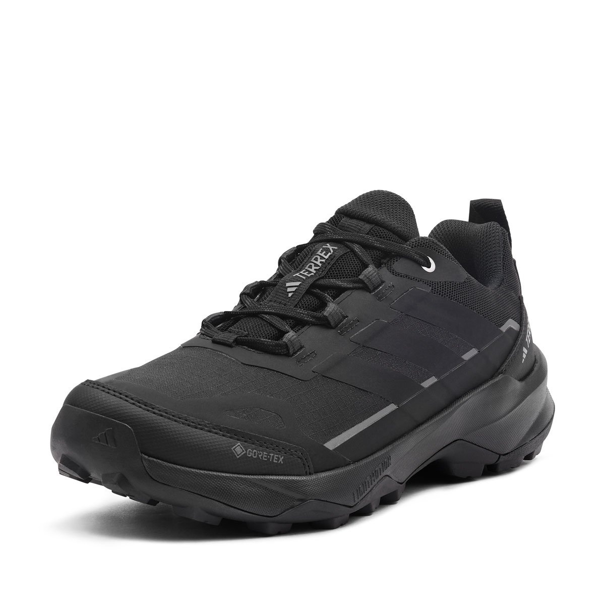 adidas Terrex Skychaser AX5 Gore-Tex Pantofi sport bărbați JQ2210