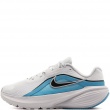 Nike Downshifter 14  Adidași bărbați IB1895-109