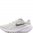 Nike Downshifter 14 Adidași damă IB1899-103