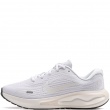Nike Journey Run Adidași damă FJ7765-119
