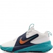 Nike Team Hustle D 12 Adidași HF6279-107