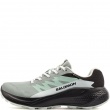 Adidași damă Salomon Alphaglide Gore-Tex 491425 Salomon Alphaglide Gore-Tex Adidași damă 491425