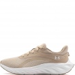 Under Armour Ascend Adidași bărbați 6009827-289