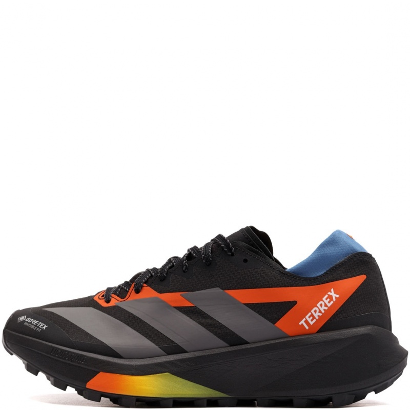 adidas Terrex Agravic Gore-Tex 2 Adidași bărbați JQ1915