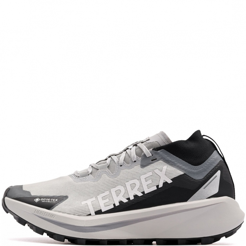 adidas Terrex Agravic Gore-Tex Adidași bărbați JR9104