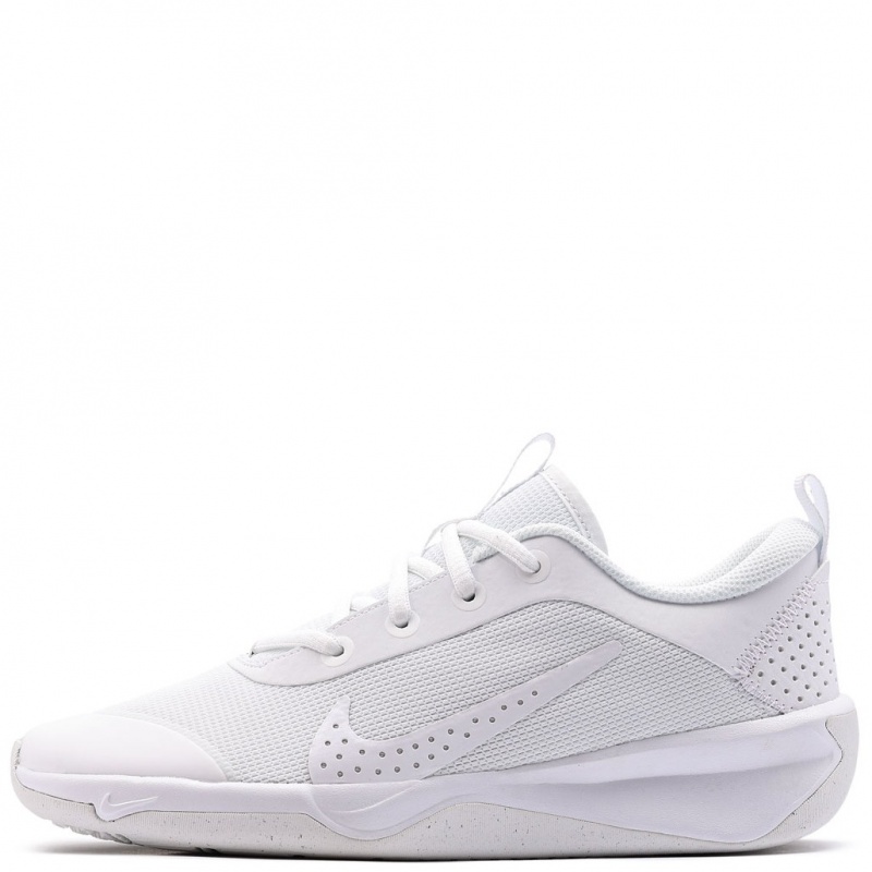 Nike Omni Multi-Court Adidași DM9027-100