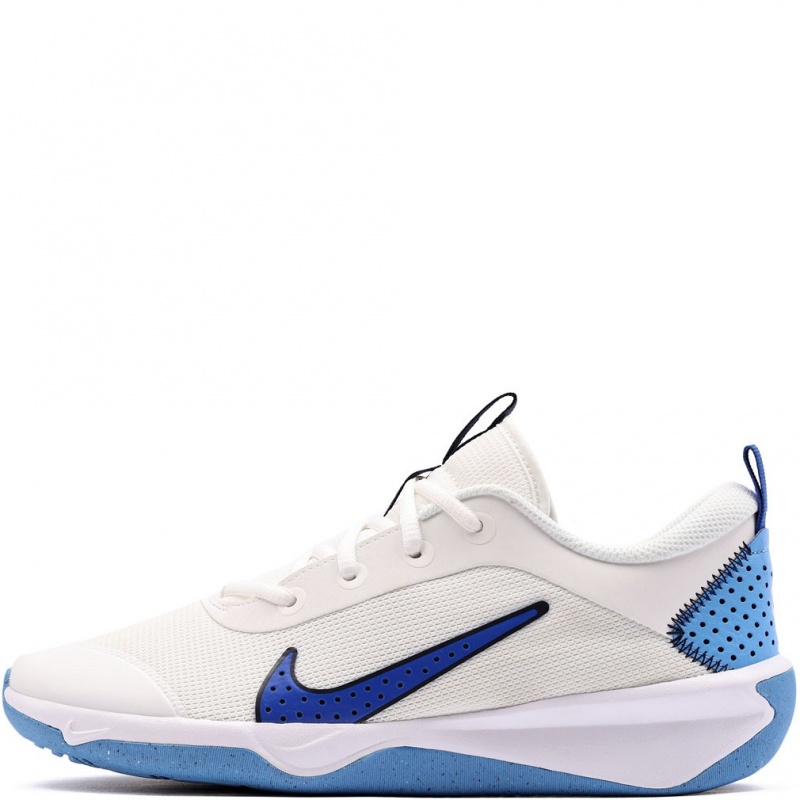 Nike Omni Multi-Court Adidași DM9027-108