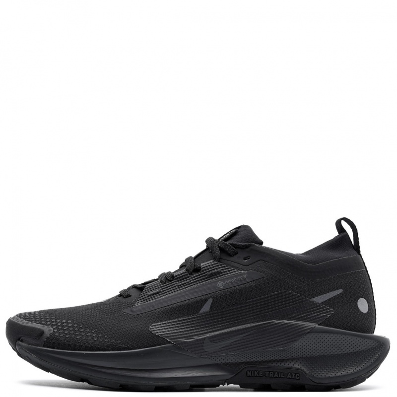 Nike Pegasus Trail 5 Gore-Tex Adidași bărbați FQ0908-002