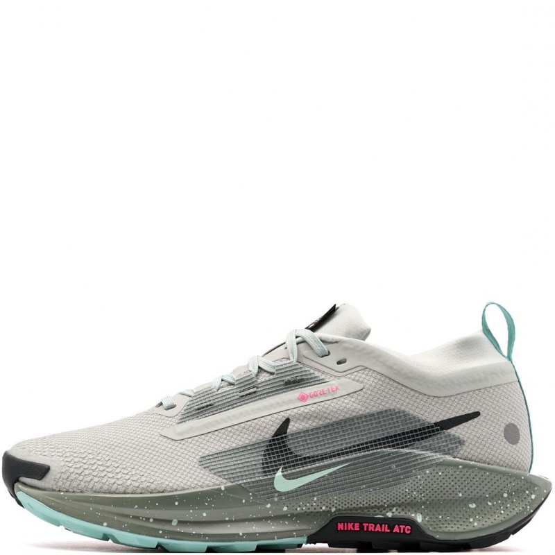 Nike Pegasus Trail 5 Gore-Tex Adidași bărbați FQ0908-013