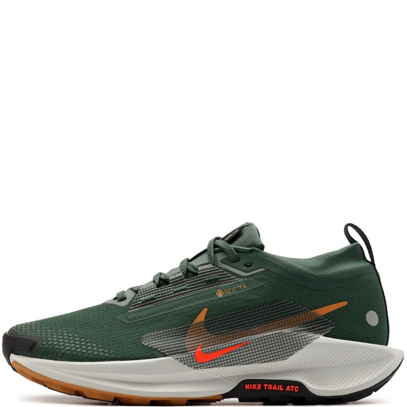 Nike Pegasus Trail 5 Gore-Tex Adidași bărbați FQ0908-301