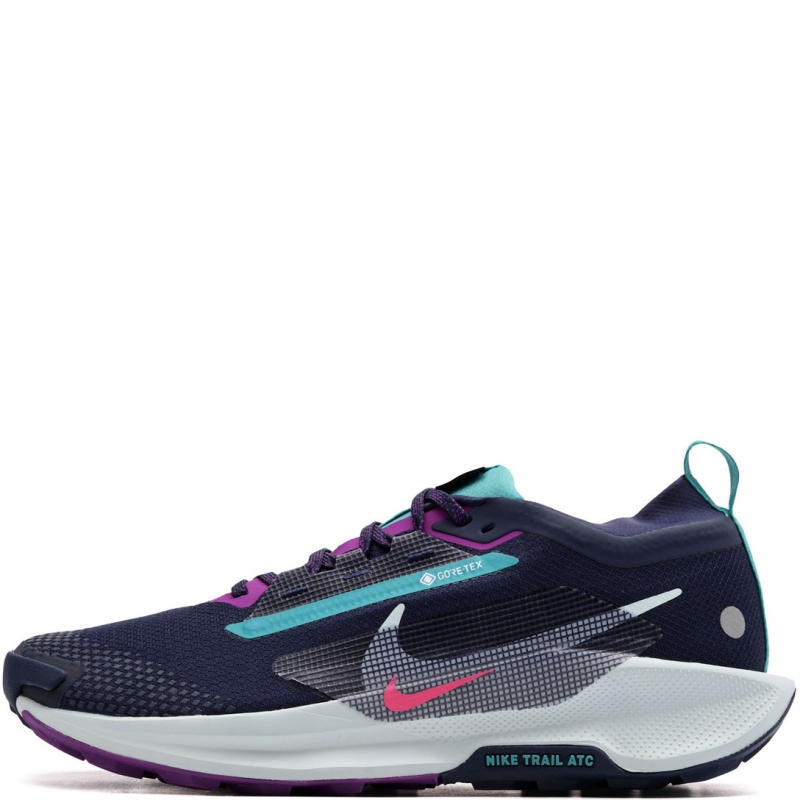 Nike Pegasus Trail 5 Gore-Tex Adidași bărbați FQ0908-403