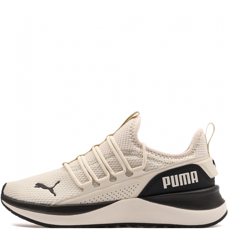 Puma Softride Carson 2 Pulse Adidași 313502-08