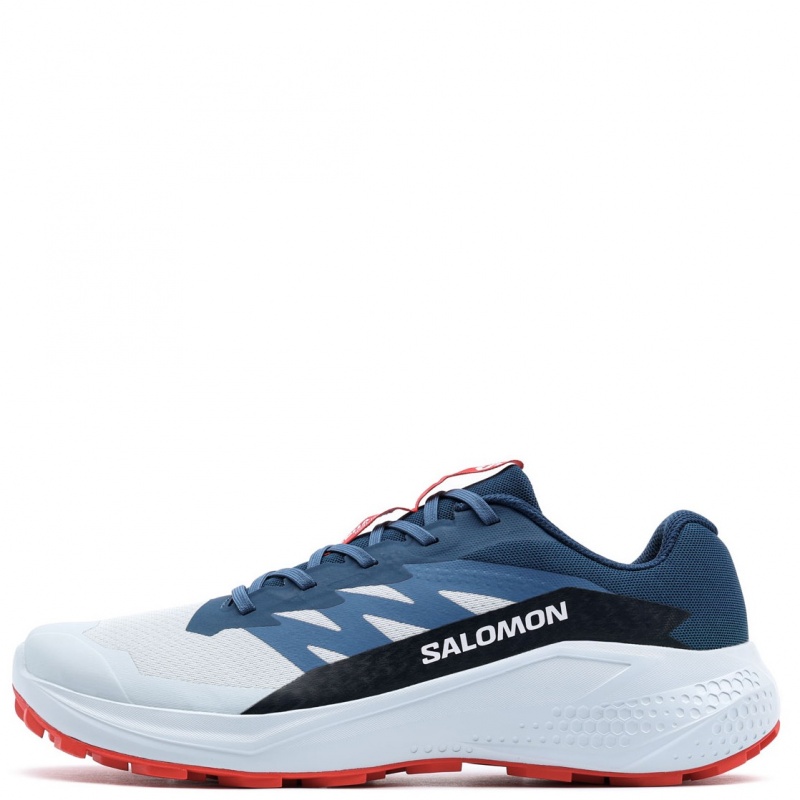 Salomon Alphaglide Adidași bărbați 477243