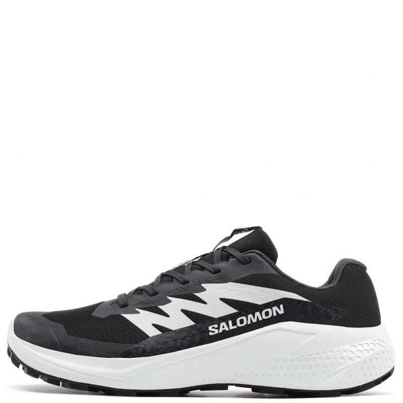 Salomon Alphaglide Adidași bărbați 478010