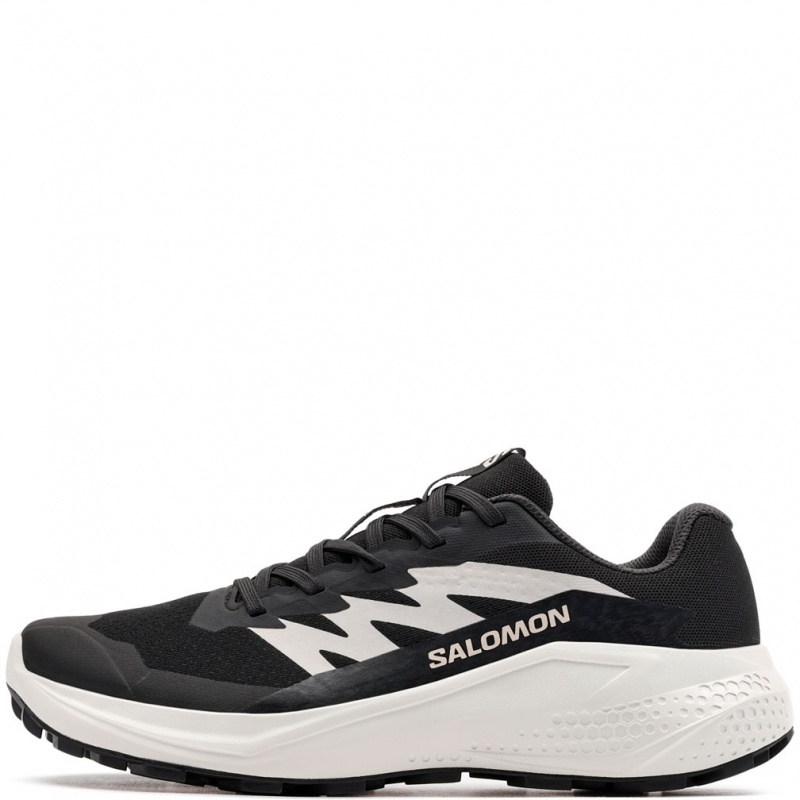 Salomon Alphaglide Adidași damă 478015