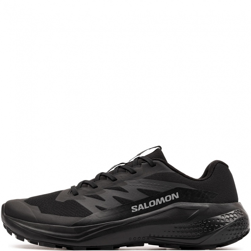 Salomon Alphaglide Adidași damă 479485
