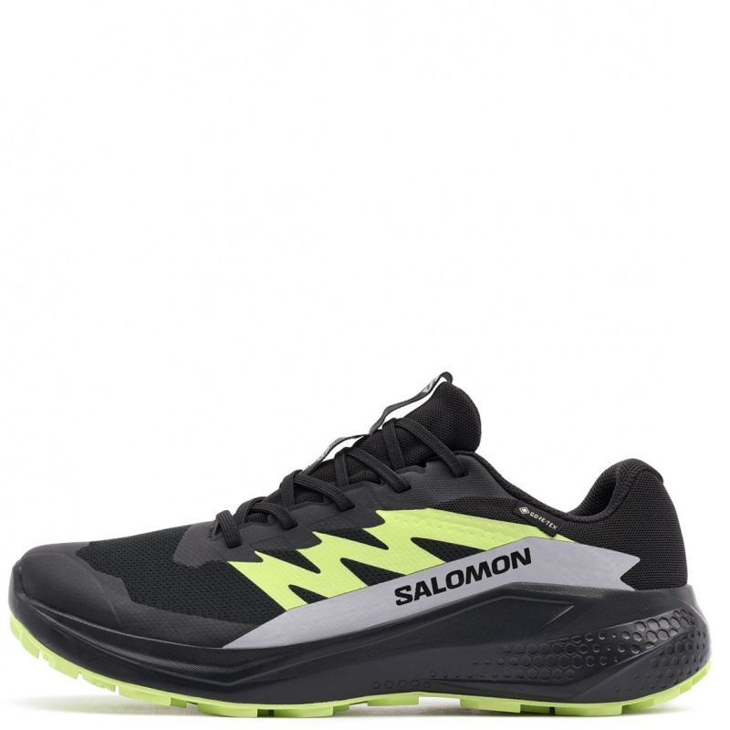 Salomon Alphaglide Gore-Tex Adidași bărbați 478020