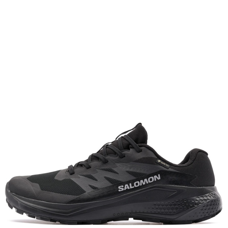 Salomon Alphaglide Gore-Tex Adidași bărbați 478021