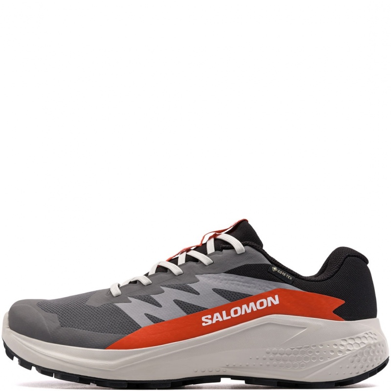 Salomon Alphaglide Gore-Tex Adidași bărbați 479753