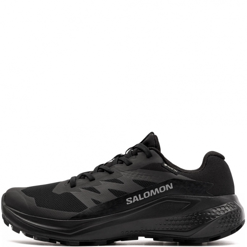 Salomon Alphaglide Gore-Tex Adidași damă 492144