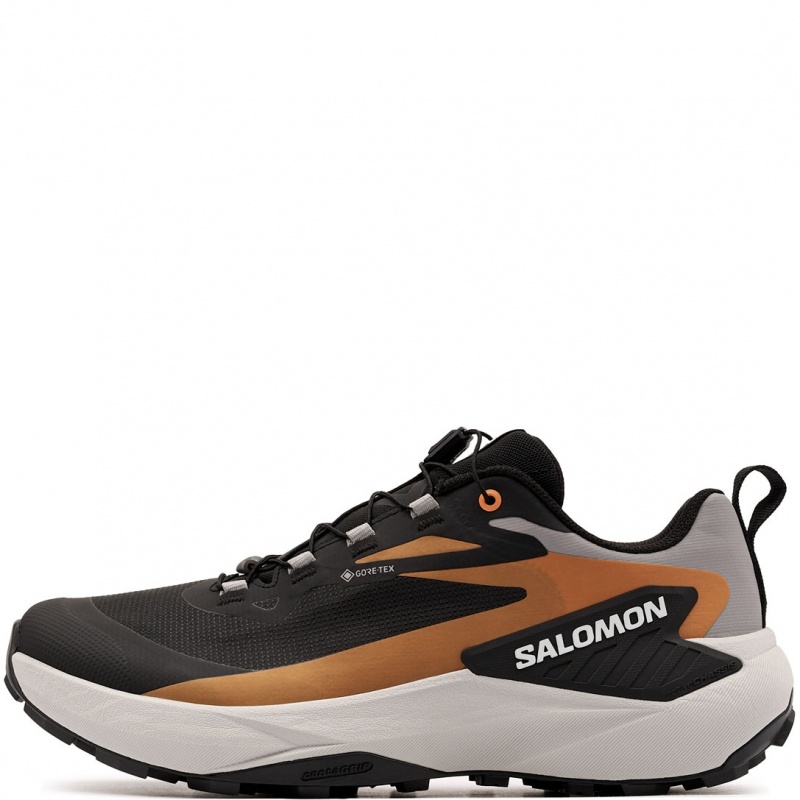 Salomon Genesis Gore-Tex Adidași bărbați 479762