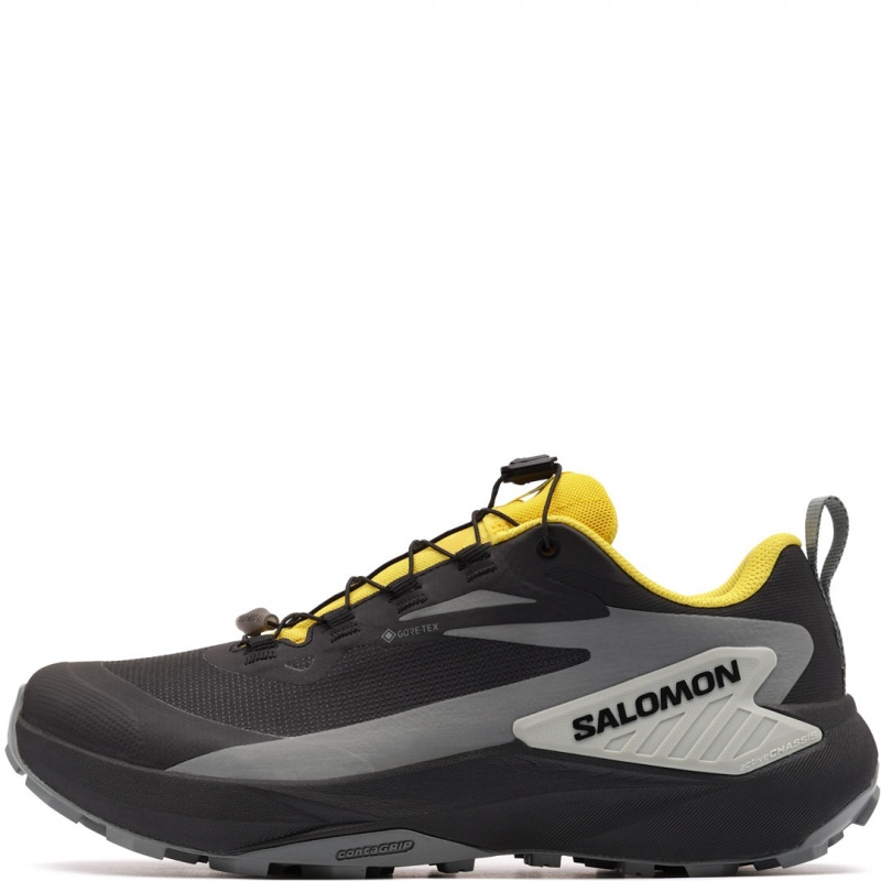Salomon Genesis Gore-Tex Adidași bărbați 479780