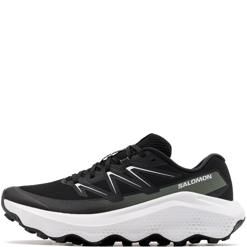 Salomon Ultra Flow 2 Adidași bărbați 478835