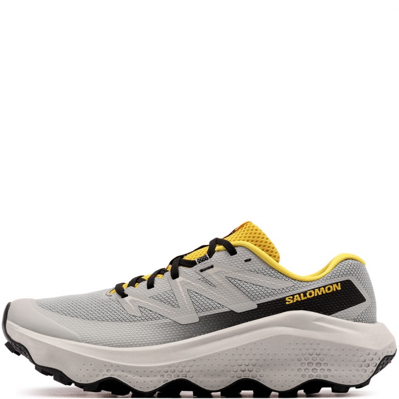 Salomon Ultra Flow 2 Adidași bărbați 478836