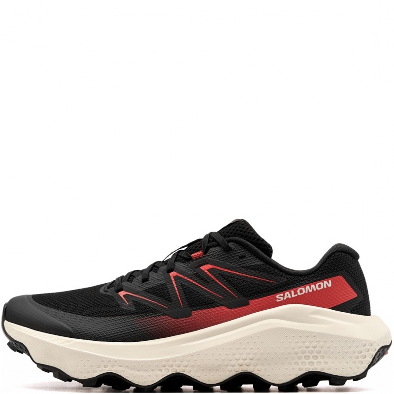 Salomon Ultra Flow 2 Adidași bărbați 492753