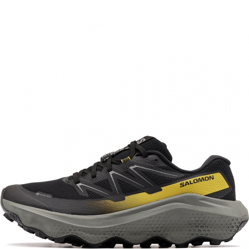 Salomon Ultra Flow 2 Gore-Tex Adidași bărbați 478832