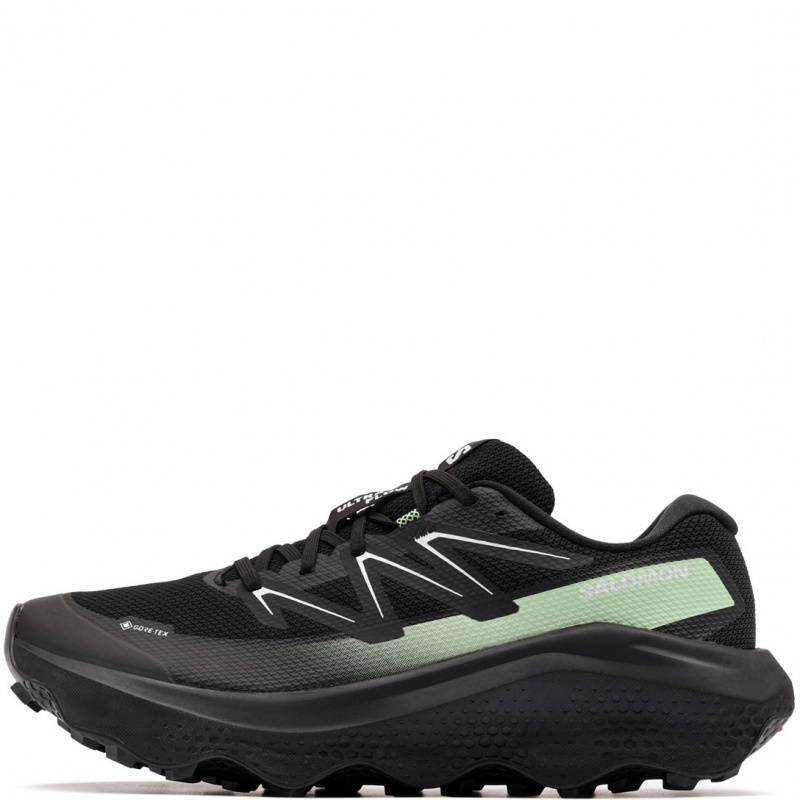 Salomon Ultra Flow 2 Gore-Tex Adidași bărbați 479814