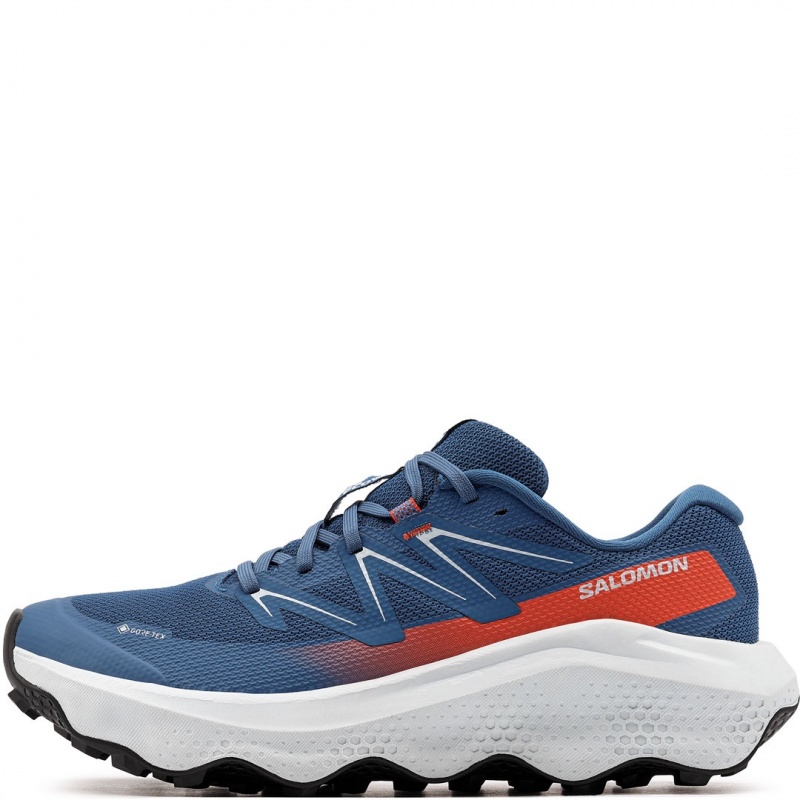 Salomon Ultra Flow 2 Gore-Tex Adidași bărbați 479815