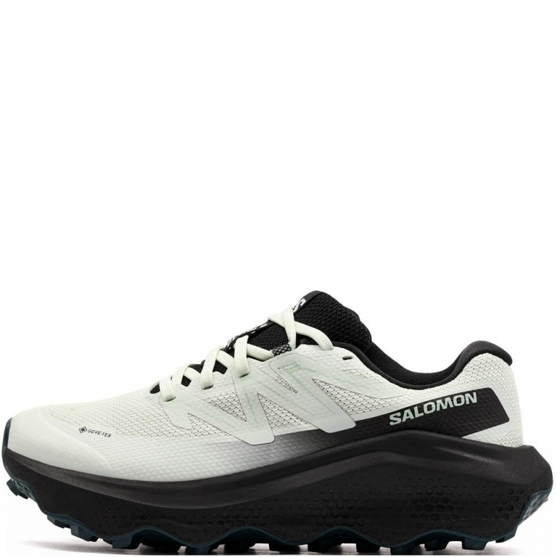 Salomon Ultra Flow 2 Gore-Tex Adidași damă 492996