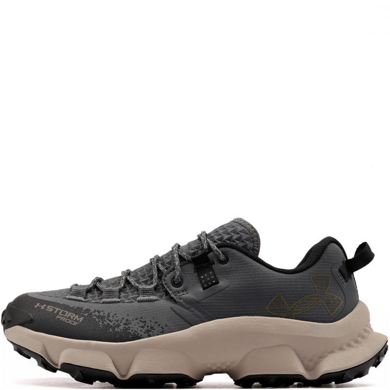 Under Armour Charged Expanse Low Waterproof Adidași bărbați 6000768-025