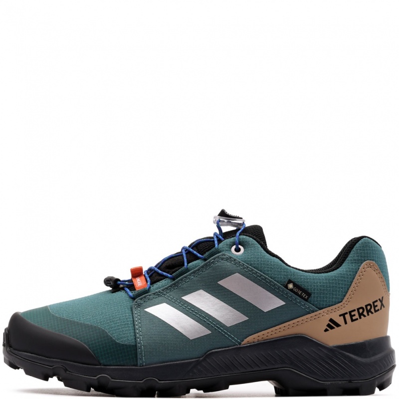 adidas Terrex Gore-Tex Pantofi sport JS2929